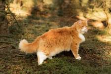 Mélissa BAYLE - Melissa Bayle  Photographie