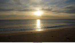 Jean Pierre GUERIN - AMPLITUDE-PHOTO